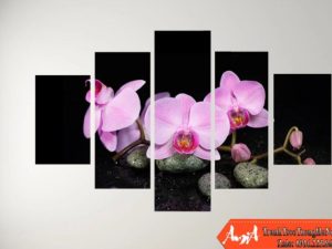 Tranh treo tường Spa 5 tấm cành hoa lan hồng trên nền tối AmiA 3604162024
